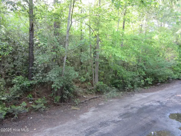 1253 Crooked Pine Road, Wilmington, NC 28411