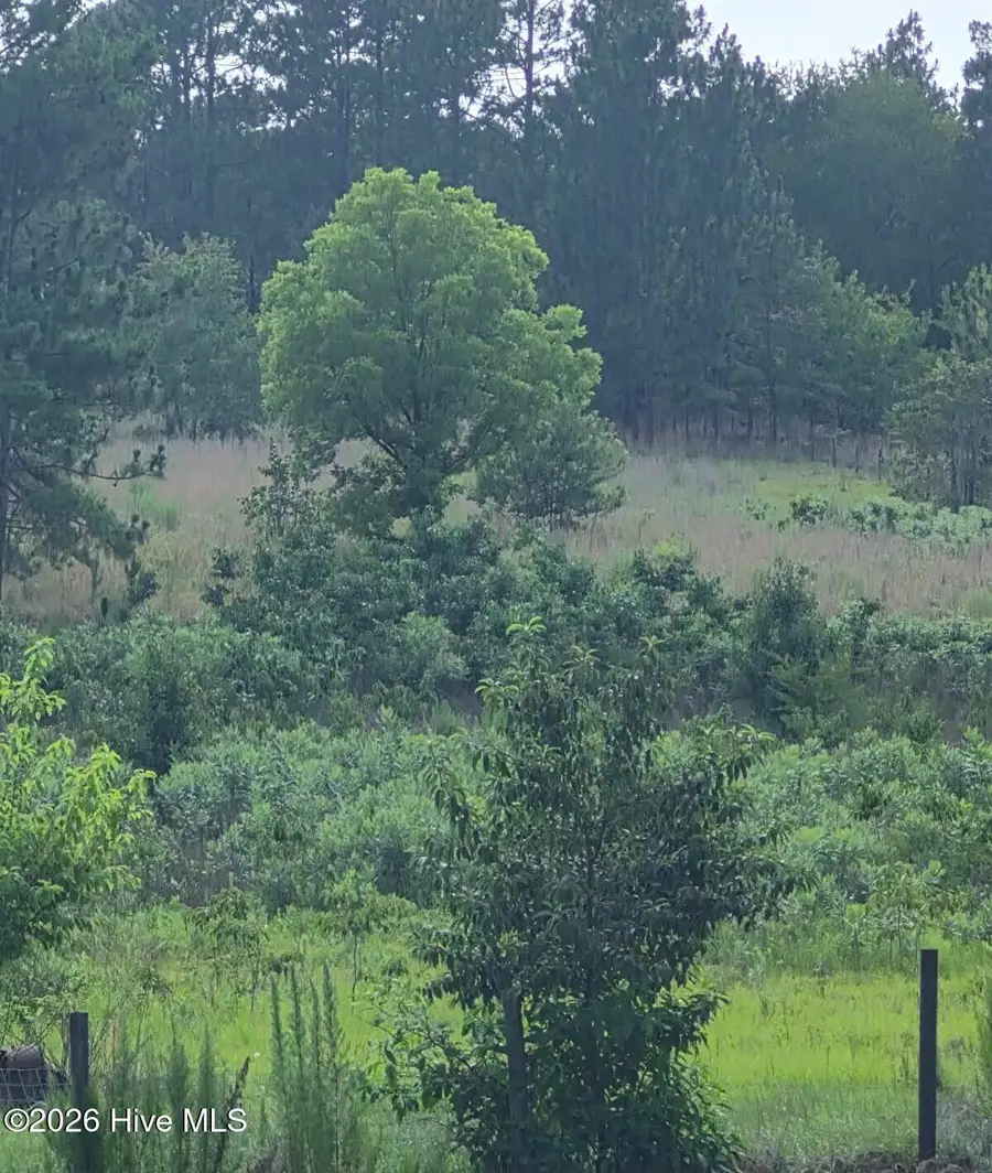 Tbd Dusty Trail, Aberdeen, NC 28315 - #3