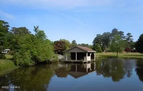 210 Canal Street, Tabor City, NC 28463 - #2