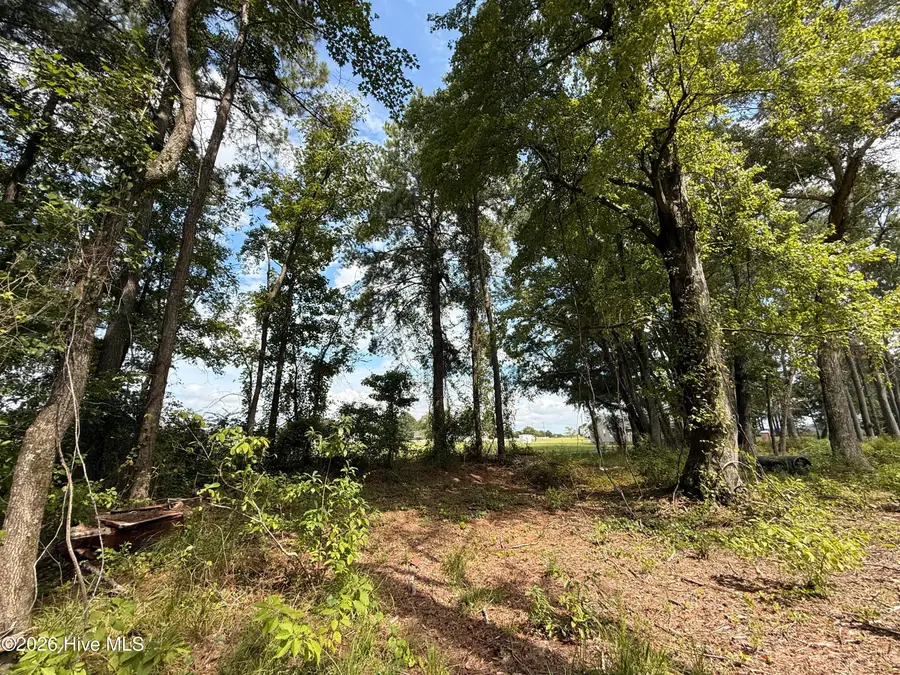 Lot 3a Holland Road, Greenville, NC 27834 - #3