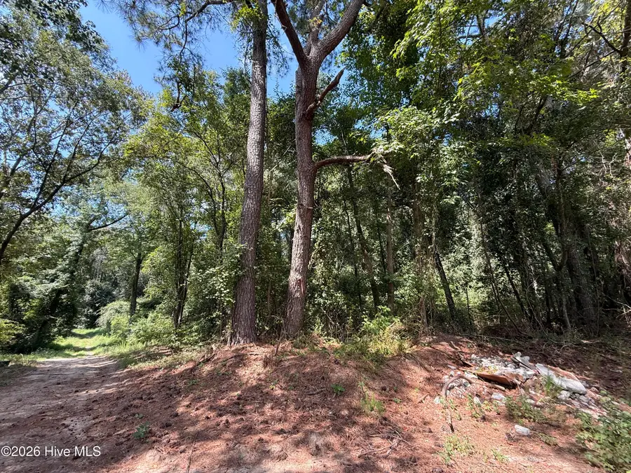Lot 1a Holland Road, Greenville, NC 27834 - #2