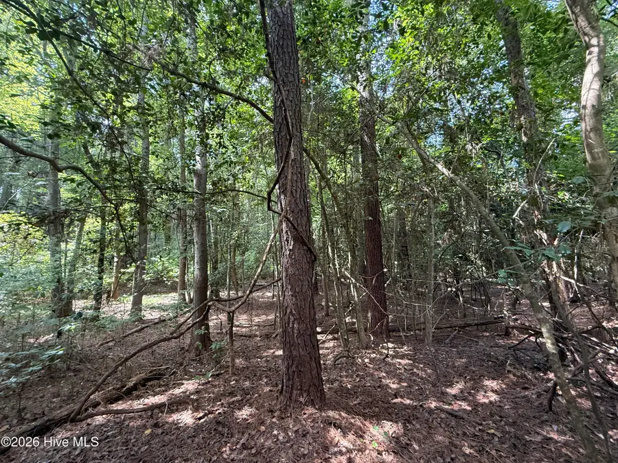 Lot 1a Holland Road, Greenville, NC 27834 - #3