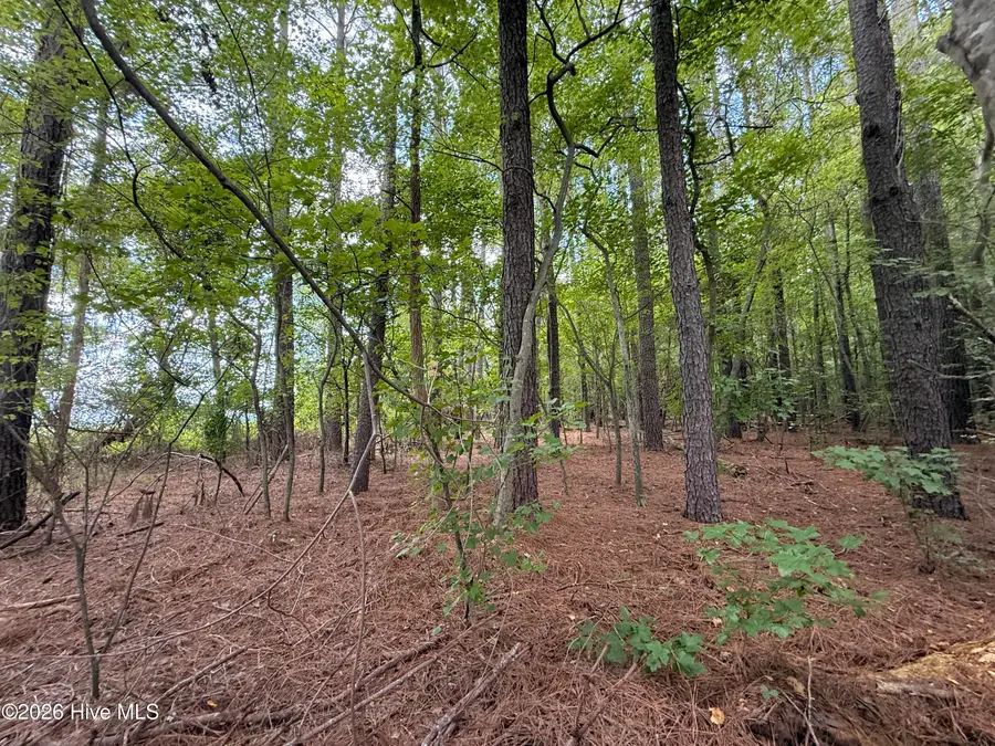Lot 2b Holland Road, Greenville, NC 27834 - #2