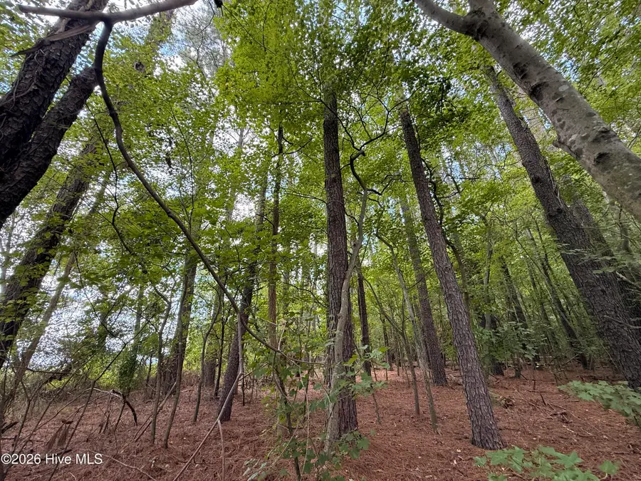 Lot 2b Holland Road, Greenville, NC 27834 - #3