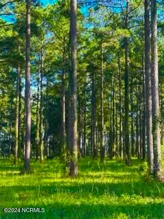 218 Cassie May Boulevard, Oriental, NC 28571