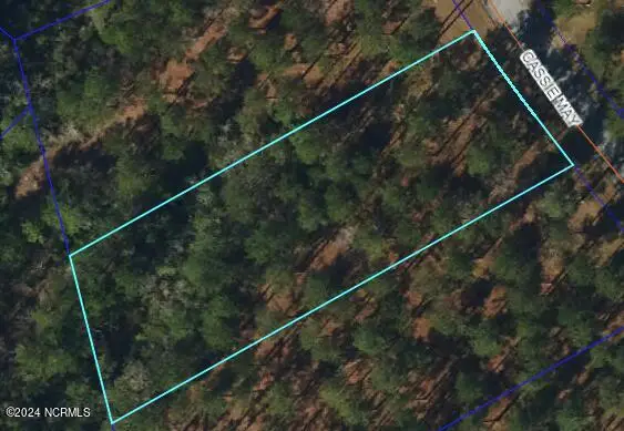 218 Cassie May Boulevard, Oriental, NC 28571 - #2