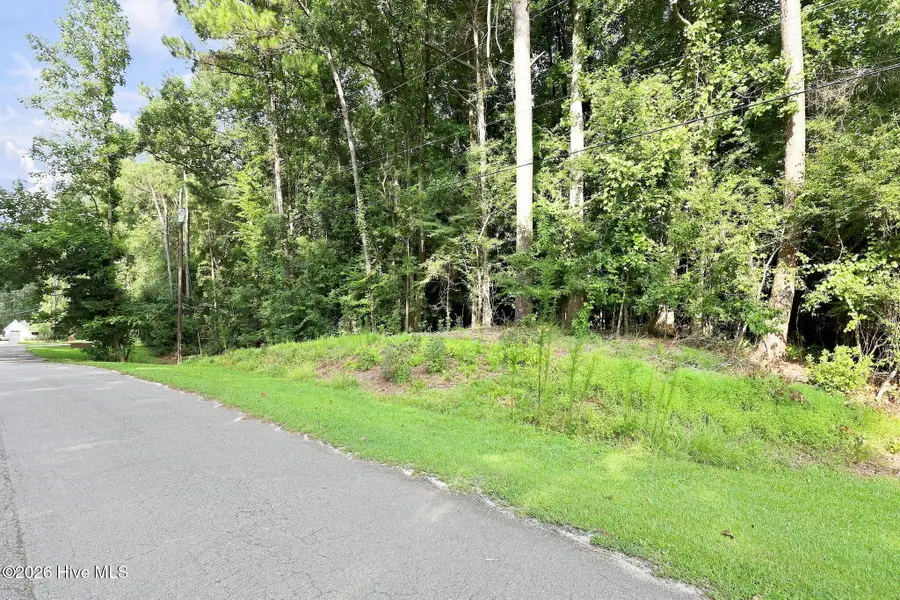 410 Candlewood Drive, Jacksonville, NC 28540 - #2