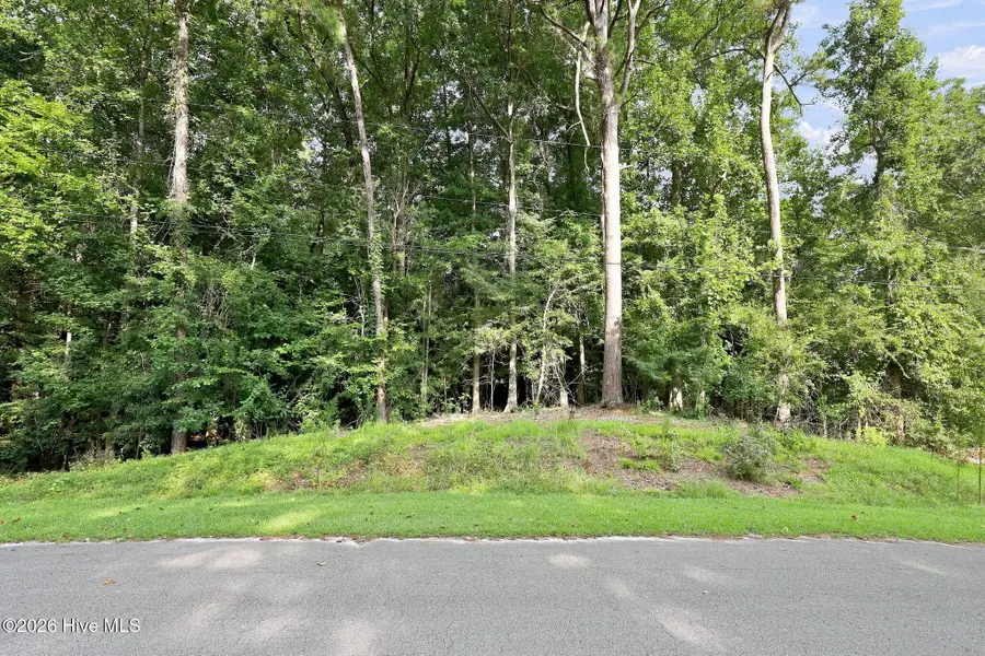 410 Candlewood Drive, Jacksonville, NC 28540 - #3