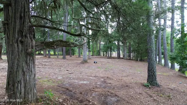 Tbd/Lot 2 Elmore, Laurinburg, NC 28352