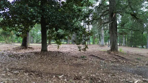 Tbd/Lot 3 Elmore, Laurinburg, NC 28352