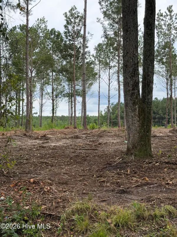 Tbd/Lot 4 Elmore, Laurinburg, NC 28352