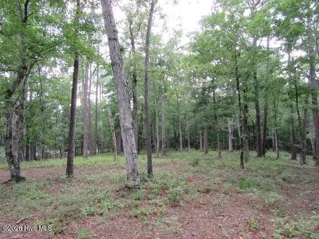 671 Plantation Parkway, Oriental, NC 28571 - #3