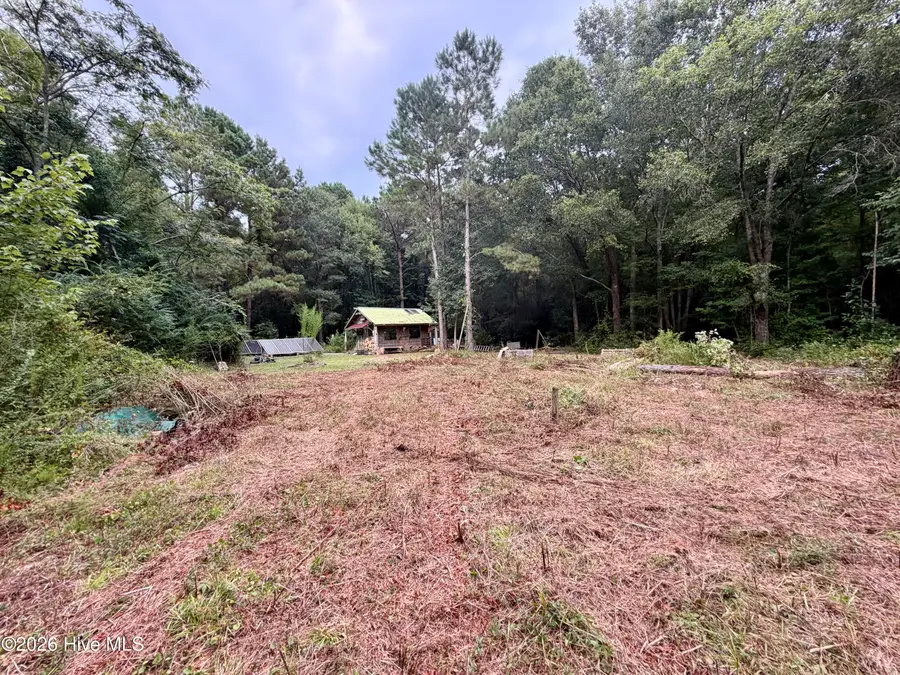 182 Rock Road, Maple Hill, NC 28454 - #2