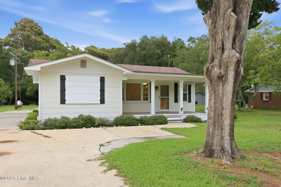303 Cape Lookout Drive, Harkers Island, NC 28531 - #3
