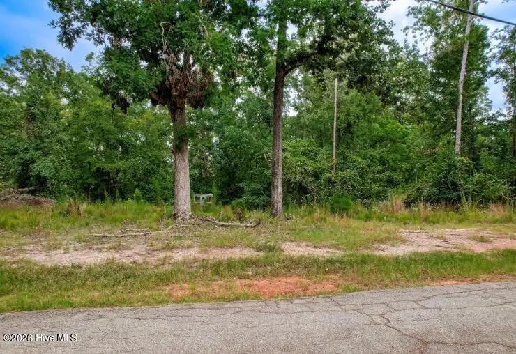 7329 Lakeside Drive, Appling, GA 30802 - #3