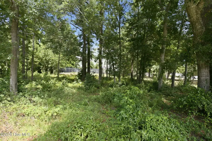 1021 Saltspray Lane, Wilmington, NC 28409 - #3