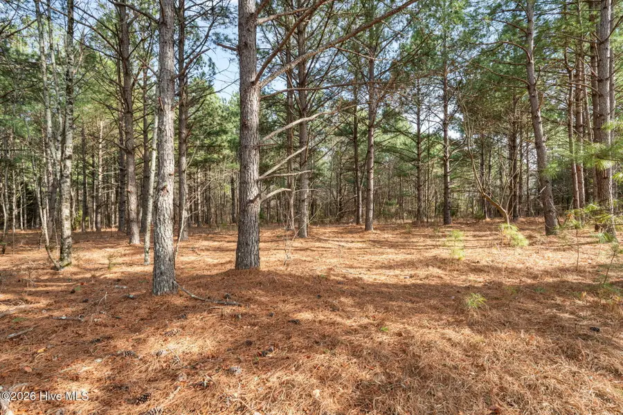 2655 Us 1 Highway, Vass, NC 28394 - #2