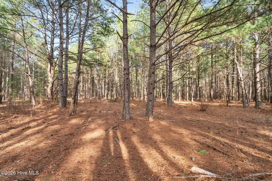 2655 Us 1 Highway, Vass, NC 28394 - #3