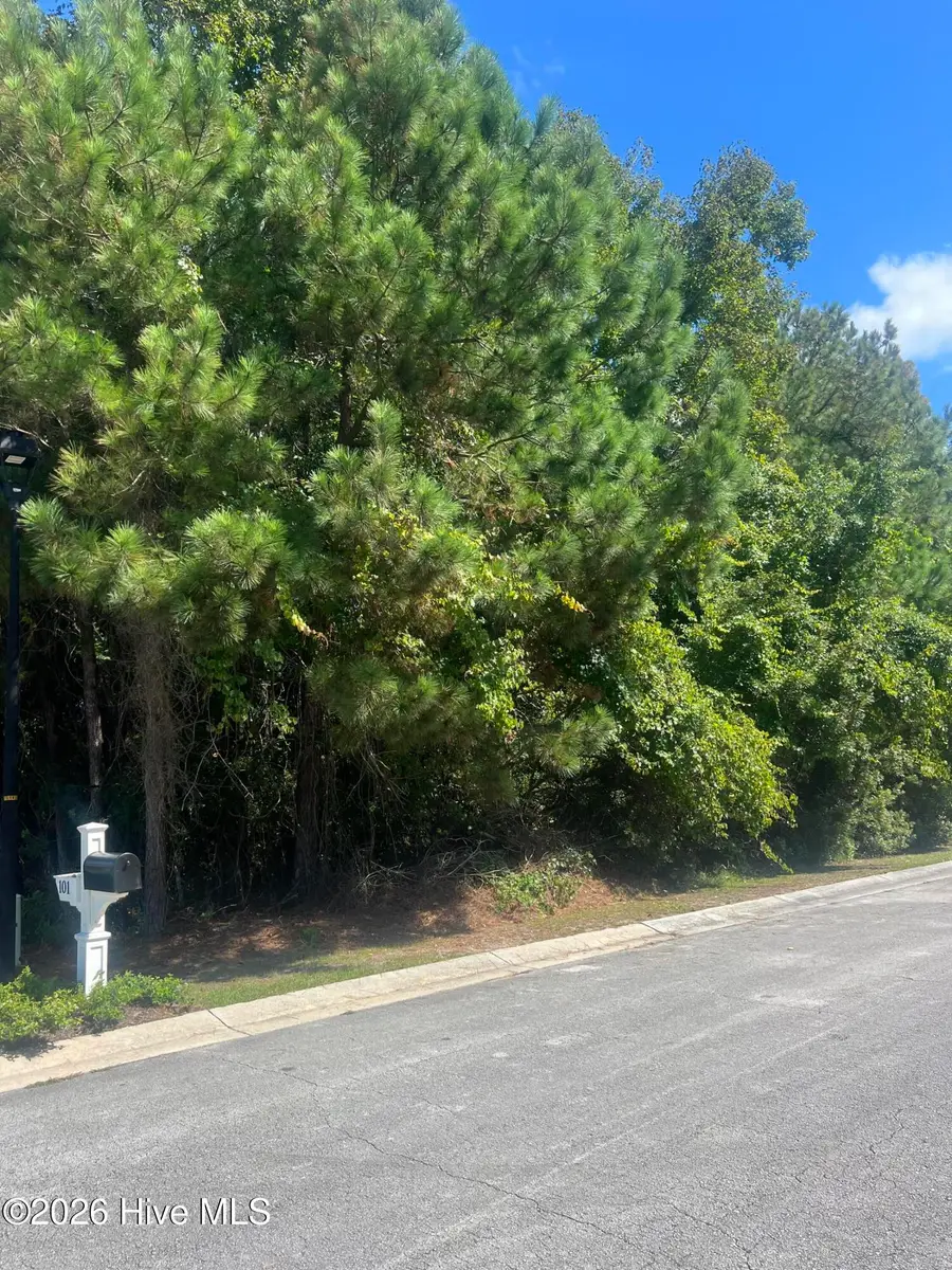 103 Capn Pat Lane, Morehead City, NC 28557 - #2