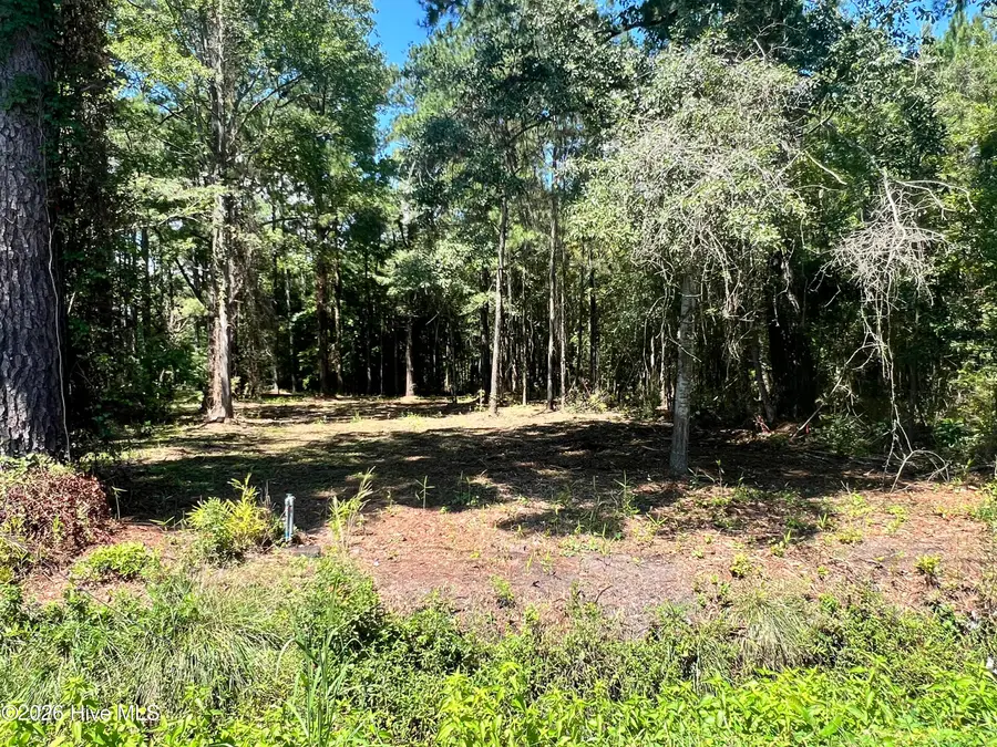 Lot 3 Elm Street, Belhaven, NC 27810 - #3
