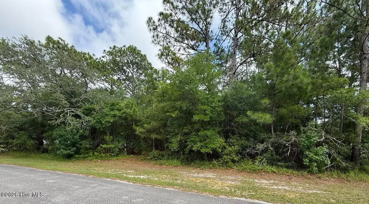 80 Bridges Road, Southport, NC 28461 - #1