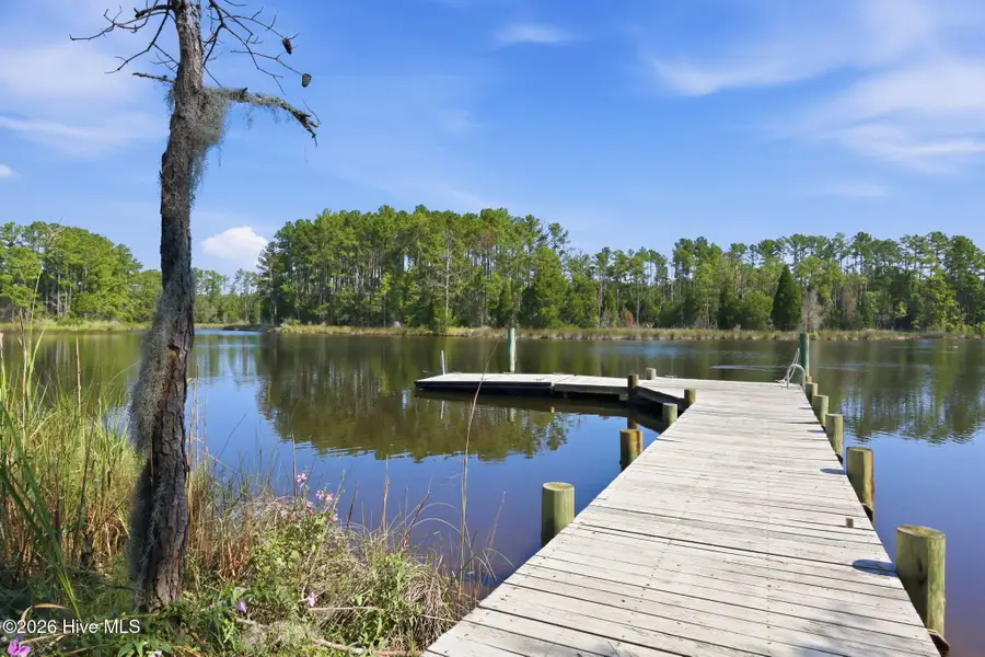 931 Schrams Beach Road, Belhaven, NC 27810 - #3