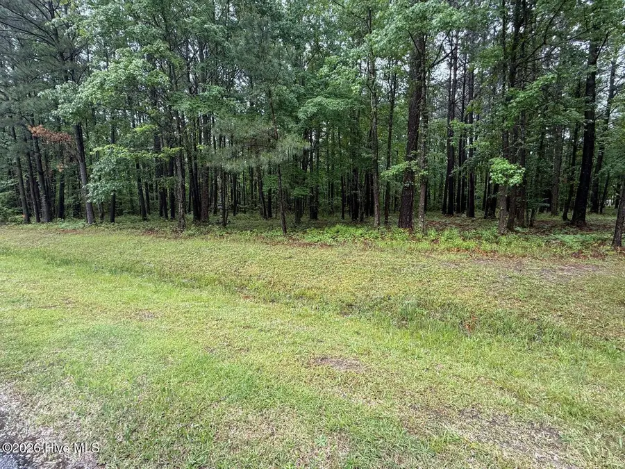 0 Stillwater Drive, Belhaven, NC 27810 - #2