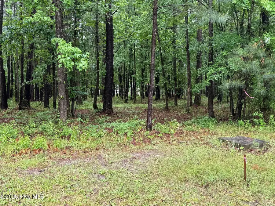 0 Stillwater Drive, Belhaven, NC 27810 - #3