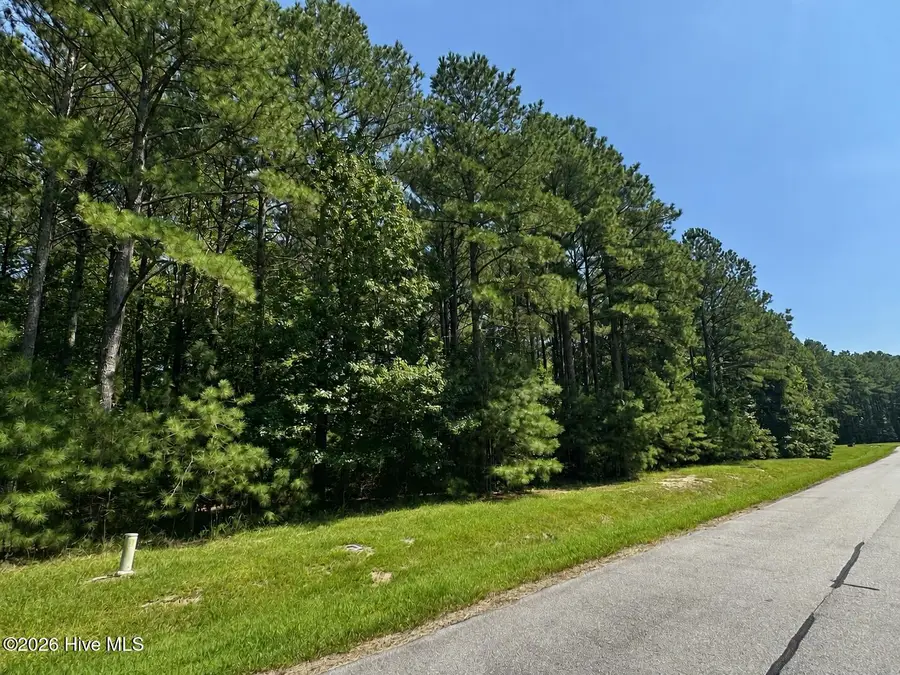 732 Batts Island Road, Edenton, NC 27932 - #2