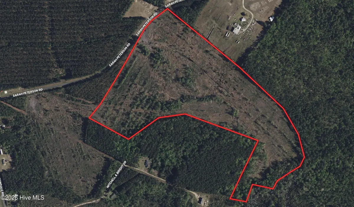 Tbd Sarah Peterson Road, Council, NC 28434 - #1