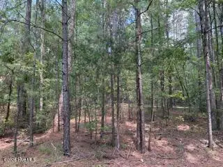 136 Cooper Drive, McCormick, SC 29835 - #1