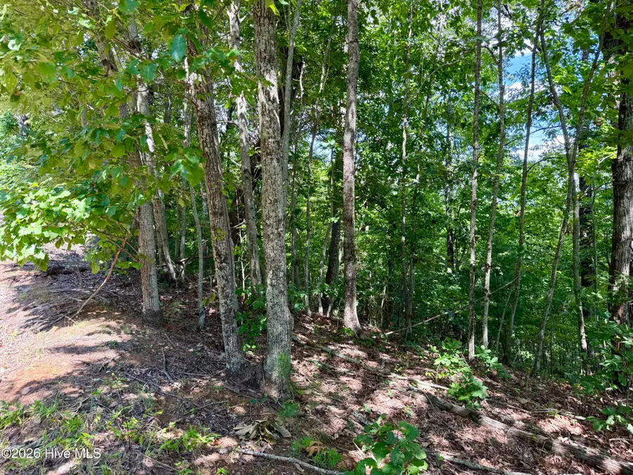 9 Sahkanaga Drive, Murphy, NC 28906 - #3