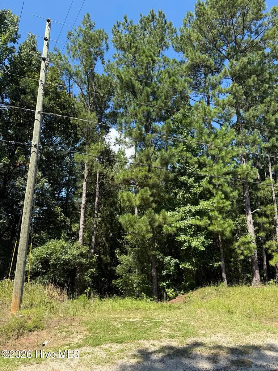 549 Lake Crystal Drive, Waynesboro, GA 30830 - #2