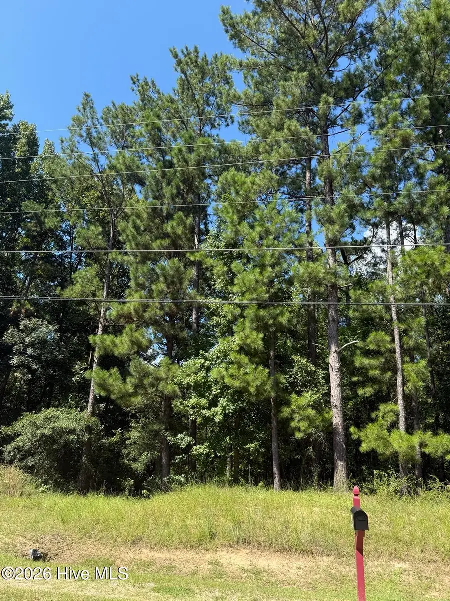 549 Lake Crystal Drive, Waynesboro, GA 30830 - #3
