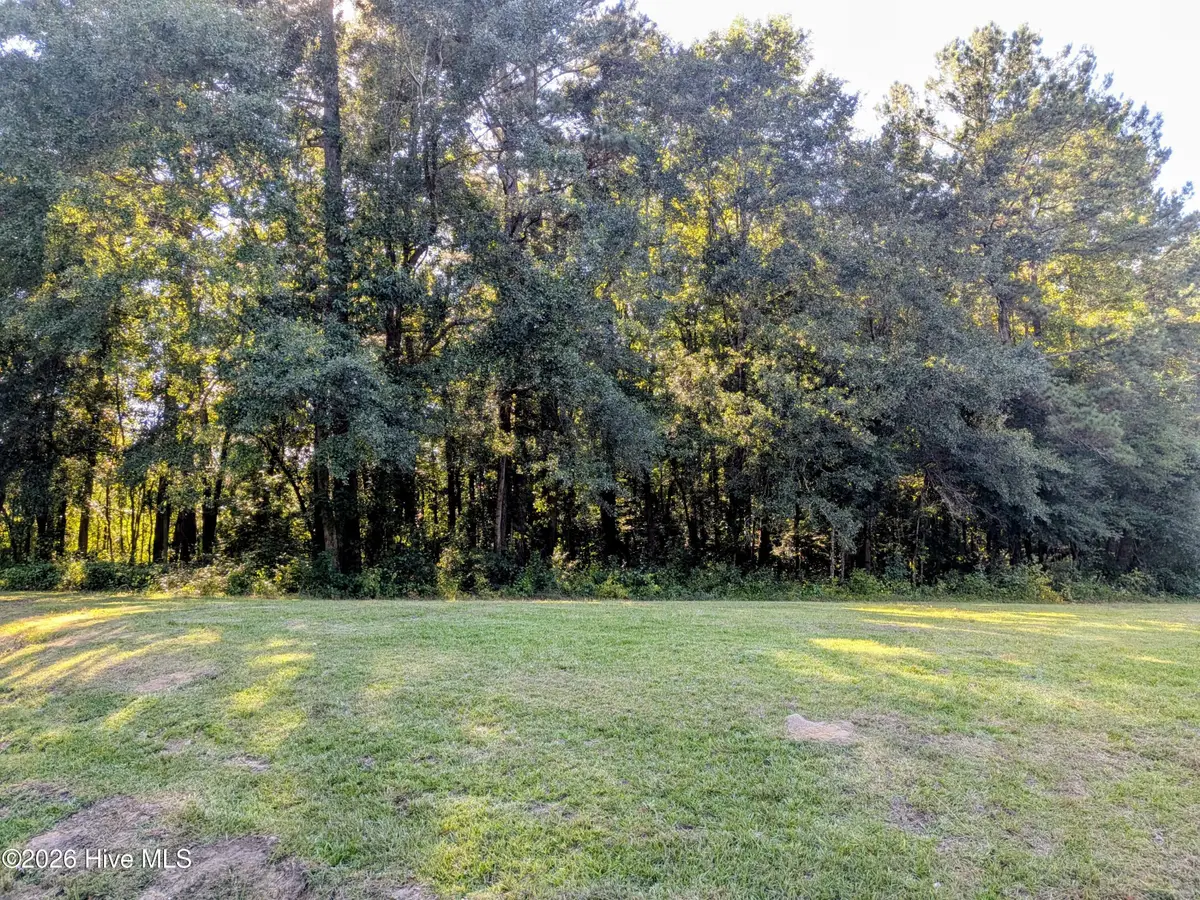 24 Baltimore Road, Riegelwood, NC 28456 - #1