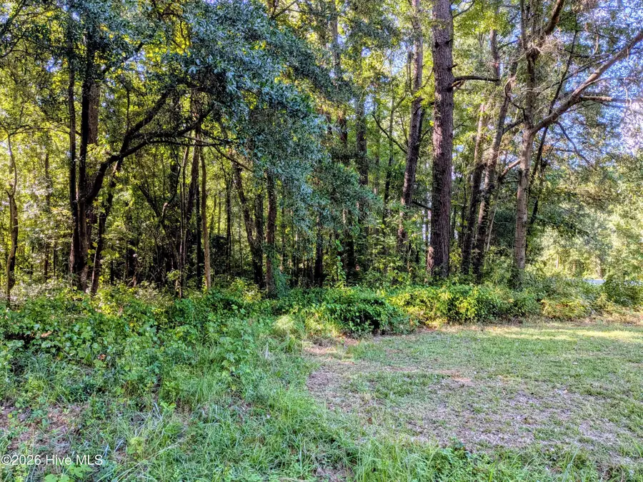 24 Baltimore Road, Riegelwood, NC 28456 - #3