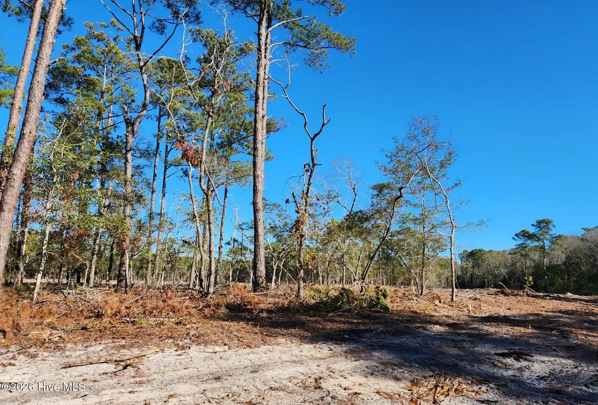 Lot 90 Fletcher Key Street, Southport, NC 28461 - #1