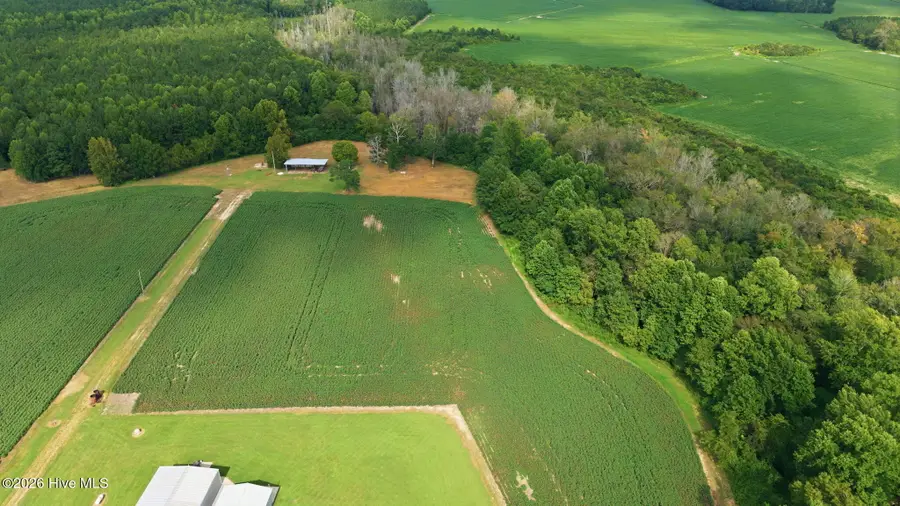 1811 Cannon Road, Hobgood, NC 27843 - #2