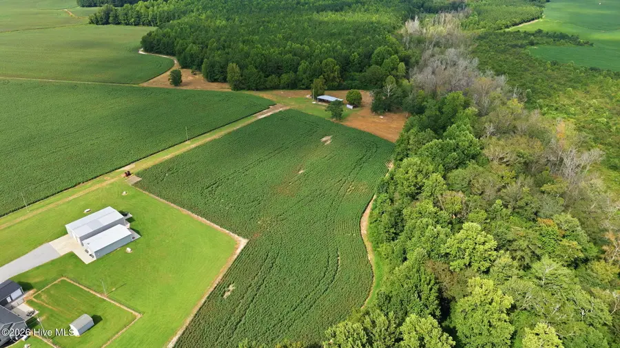 1811 Cannon Road, Hobgood, NC 27843 - #3