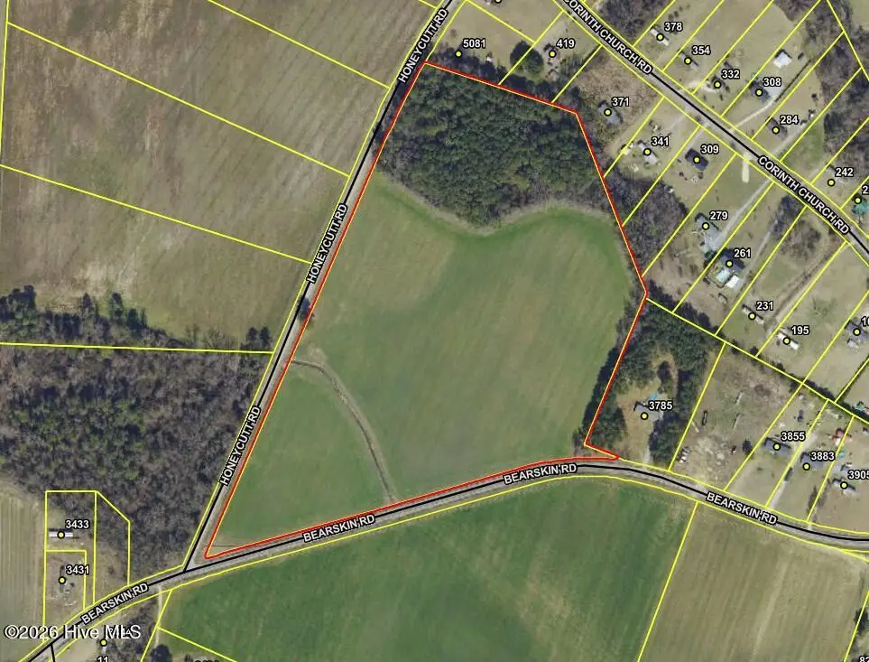 1 Honeycutt Road, Roseboro, NC 28382 - #1