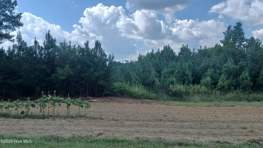 2 Taylors Gin Rd, Castalia, NC 27816 - #2
