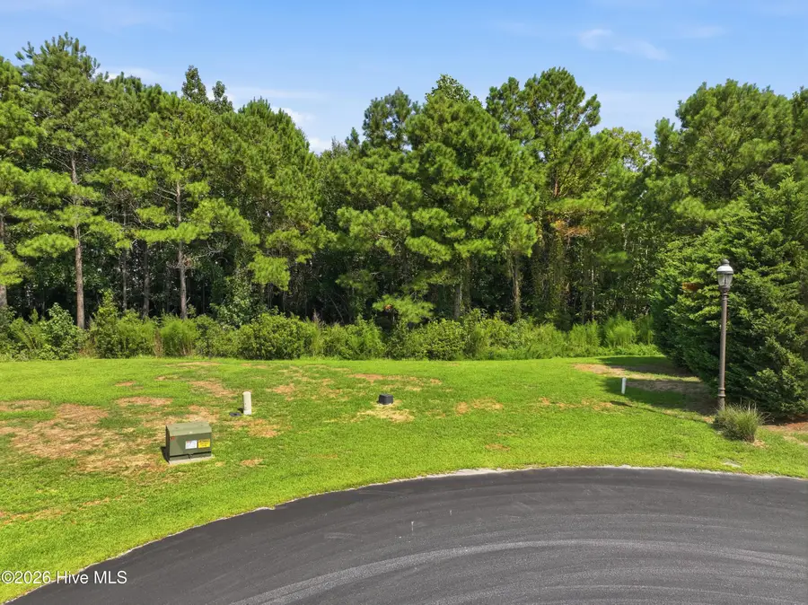 415 Wisteria Lane, Holly Ridge, NC 28445 - #2