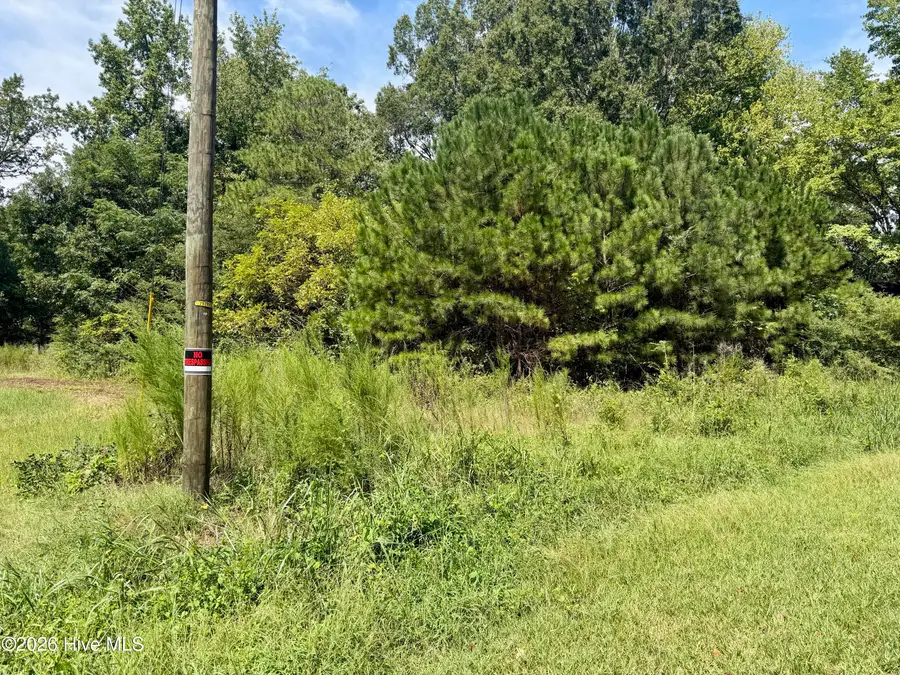 000 Mt Zion Church Road, Nashville, NC 27856 - #2