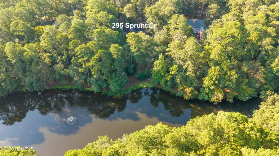 295 Sprunt Drive, Clinton, NC 28328 - #3