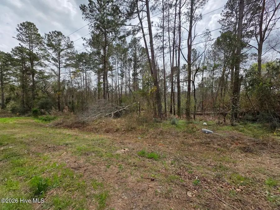 1894 Mcdade Farm Road, Hephzibah, GA 30815 - #2