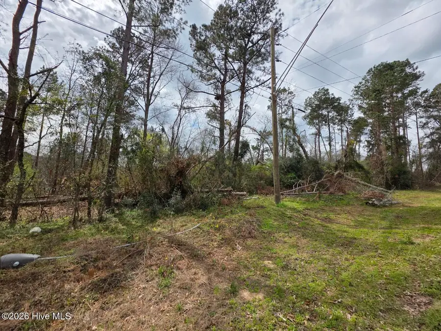 1894 Mcdade Farm Road, Hephzibah, GA 30815 - #3