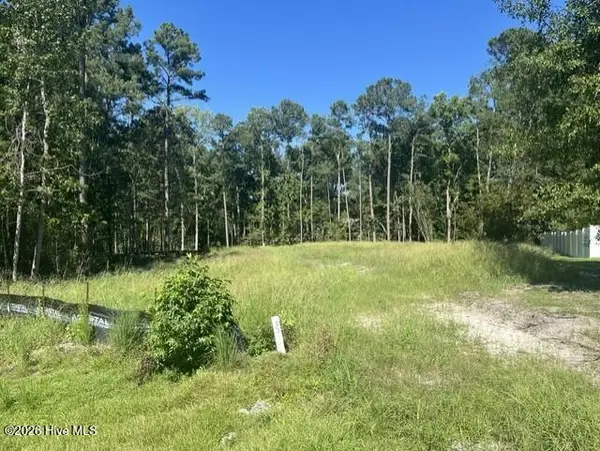 306 Joans Ridge, Stella, NC 28582