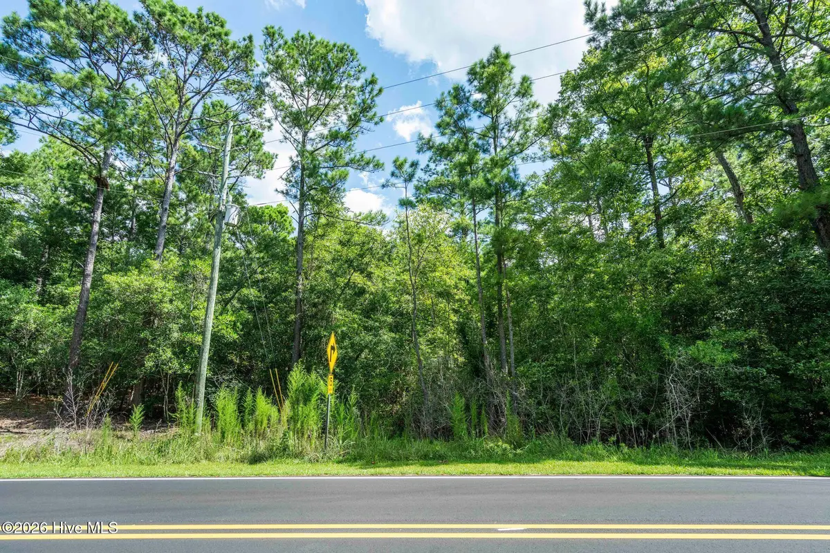 205 Creekview Drive, Hampstead, NC 28443 - #1