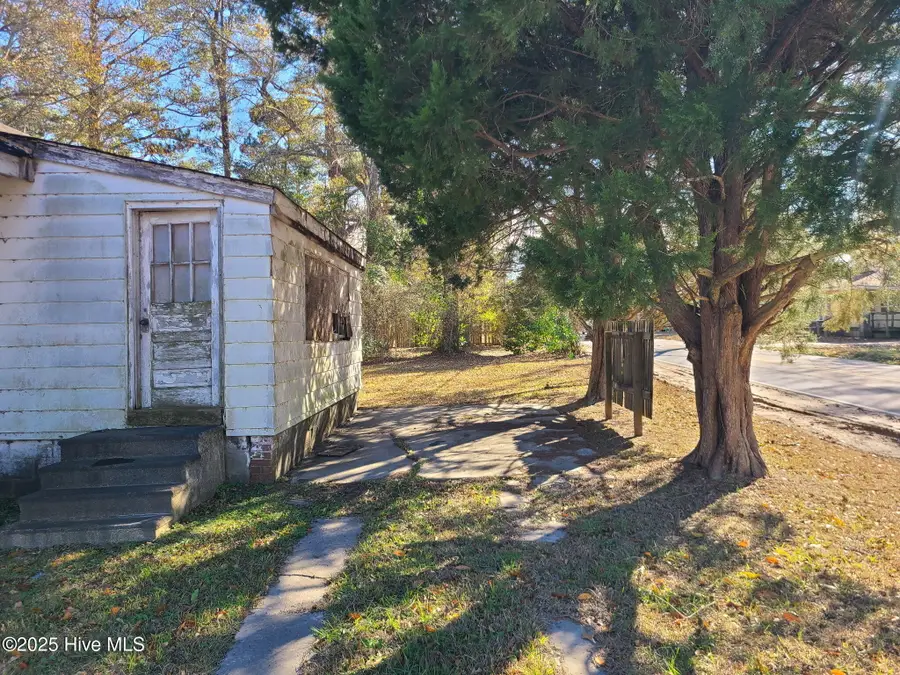 313 W Williams Street, Burgaw, NC 28425 - #3