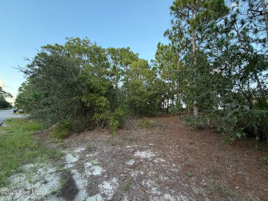 6061 Shiloh Drive, Wilmington, NC 28409 - #2